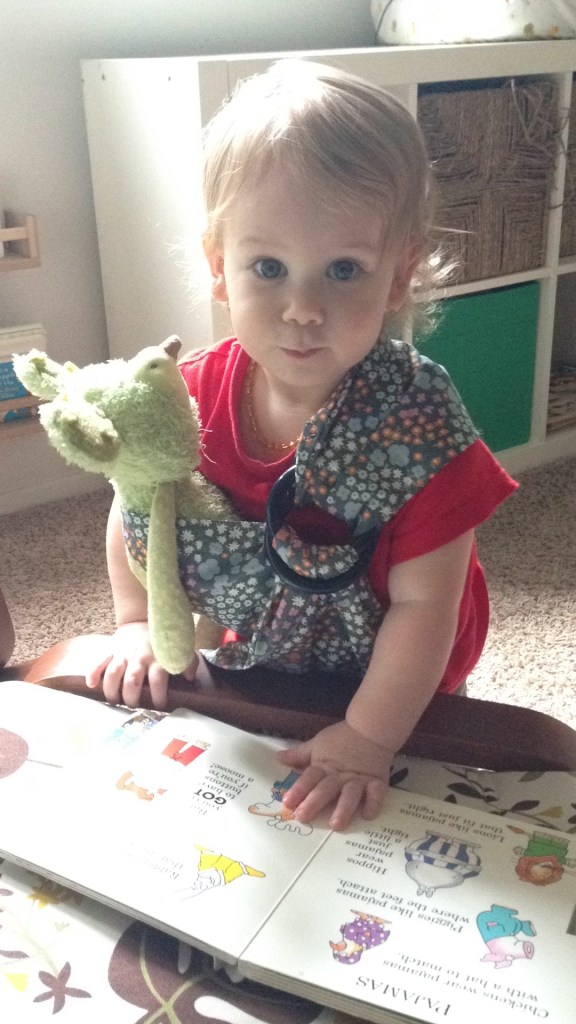 Fox Enjoying Toy Slings