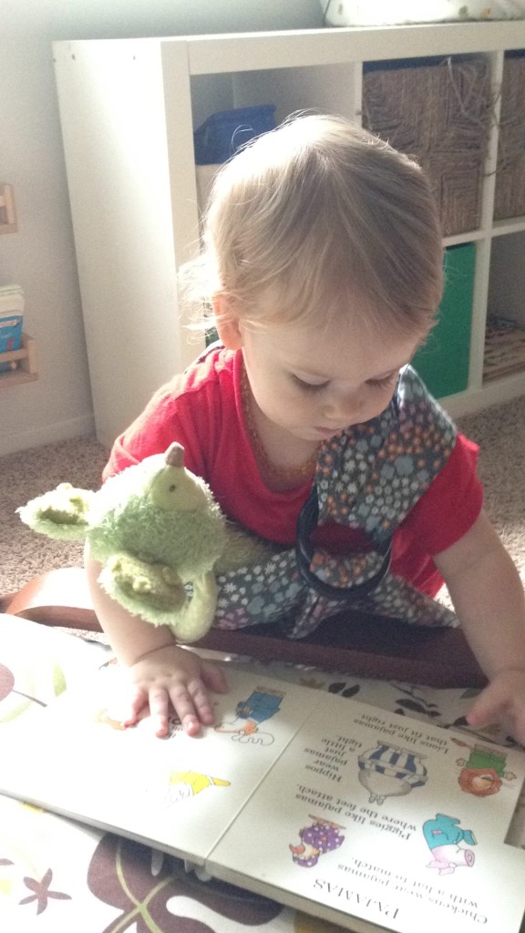 Fox Enjoying Toy Slings