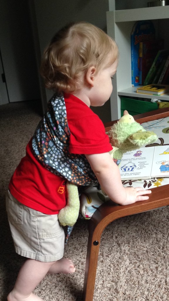 Fox Enjoying Toy Slings