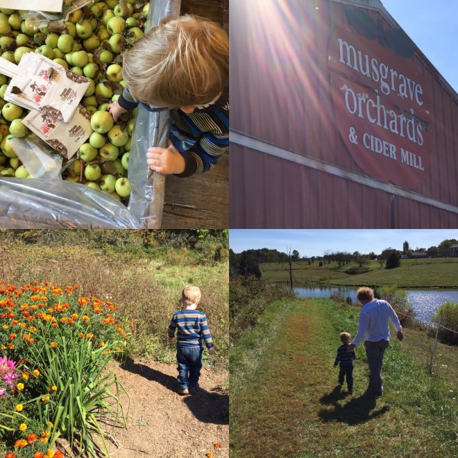 Musgrave Orchard & Cider Mill 